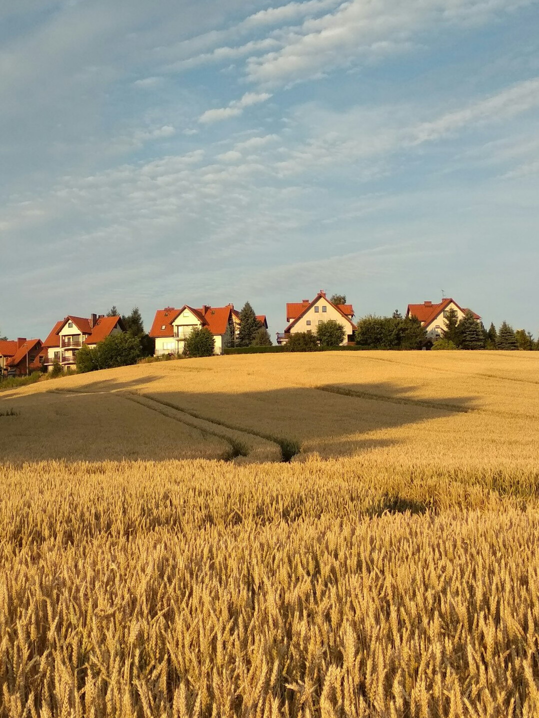 beautiful poland scenery