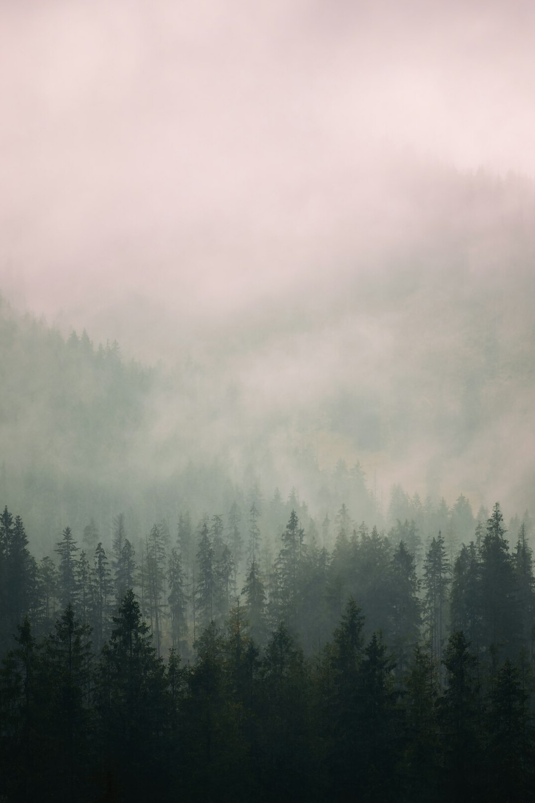 polish countryside landscape